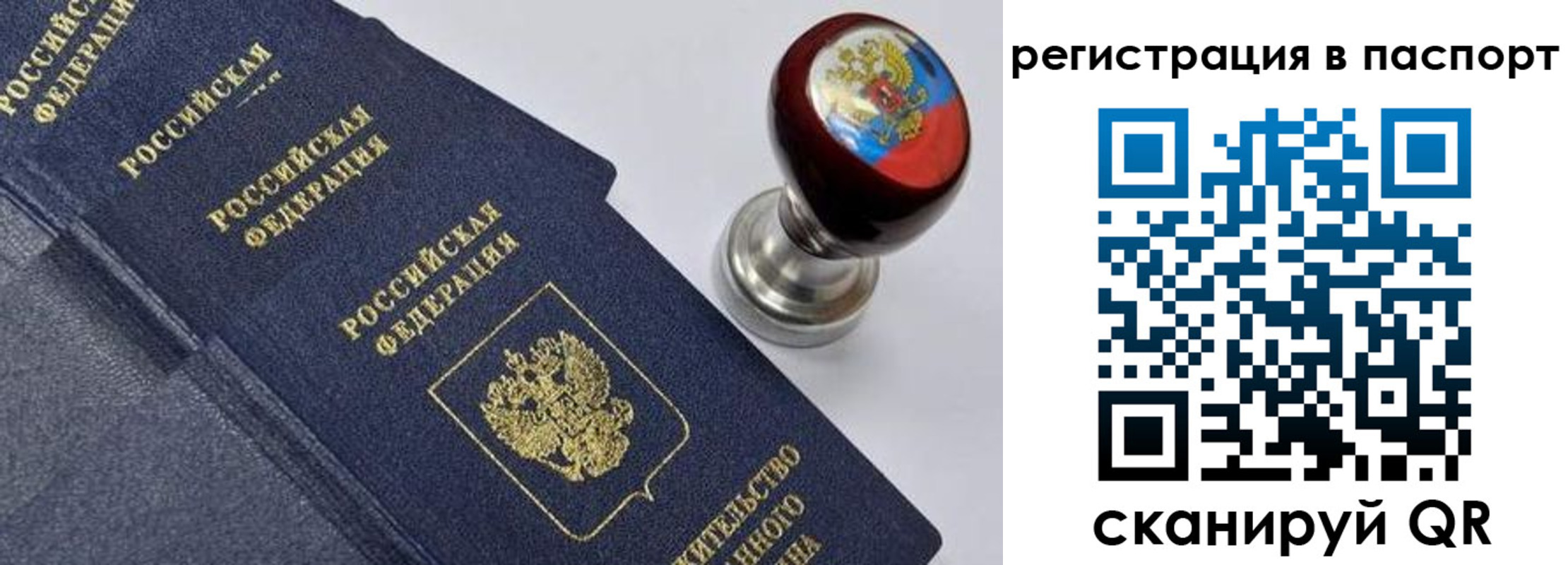 прописка поиск в Нижегородской области